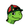 BetTurtle