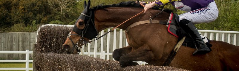 Horse Race Jumps
