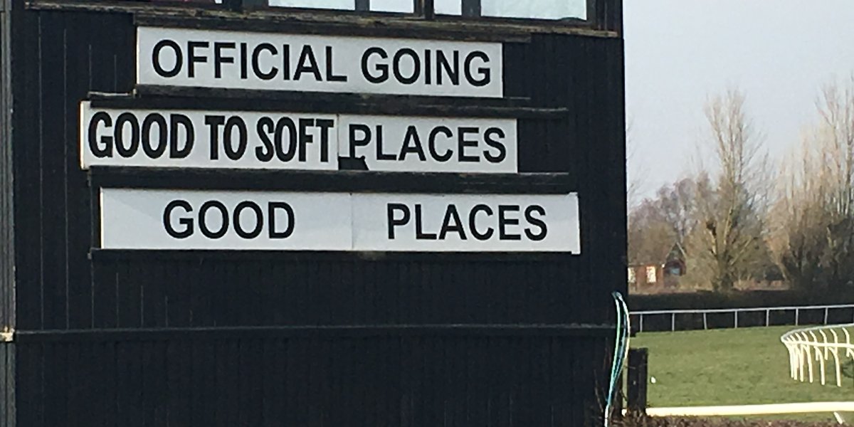 Horse Race Going