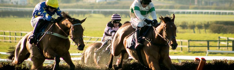 Horse Race Jumps