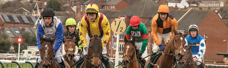 Horse Race All Weather