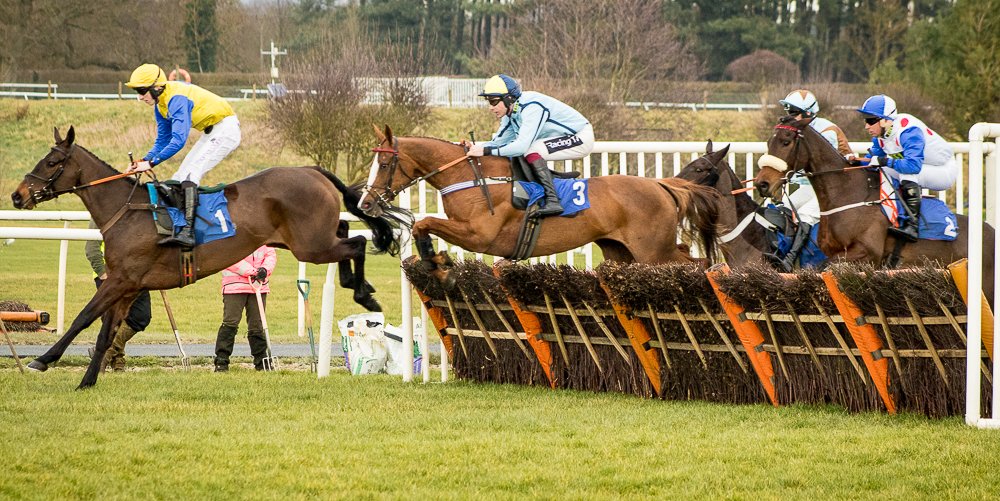 Horse Race Jumps