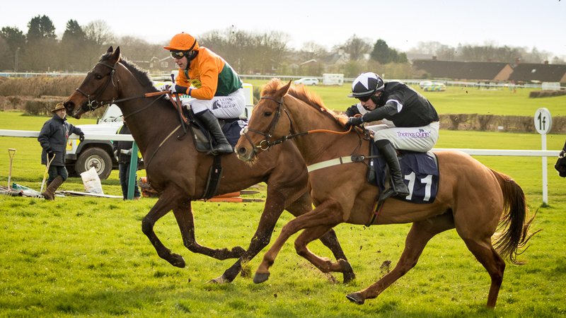 Horse Race Finish