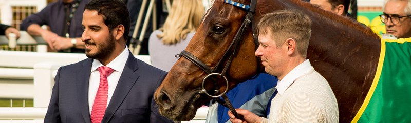 Horse Race Connections
