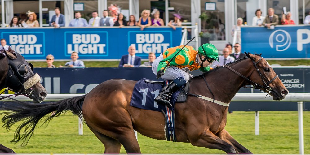 Horse Race Finish
