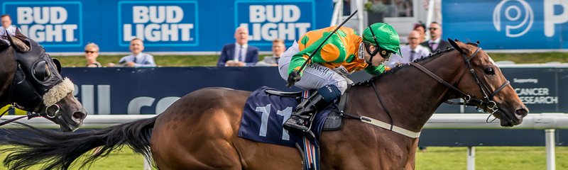 Horse Race Finish