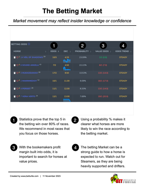 Horse Racing Form Study Essentials Betting Market