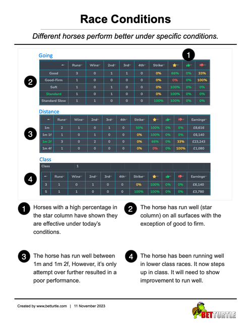 Horse Racing Form Study Essentials Race Conditions