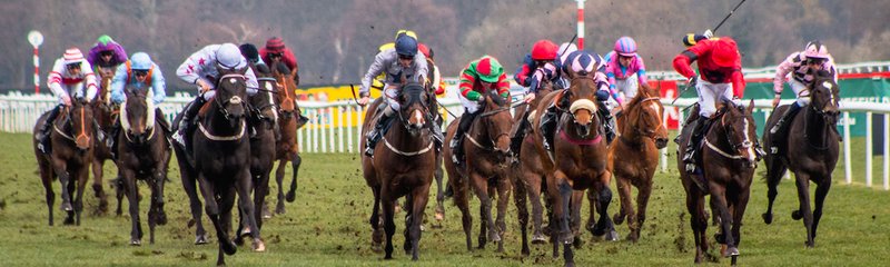 Horse Race Doncaster