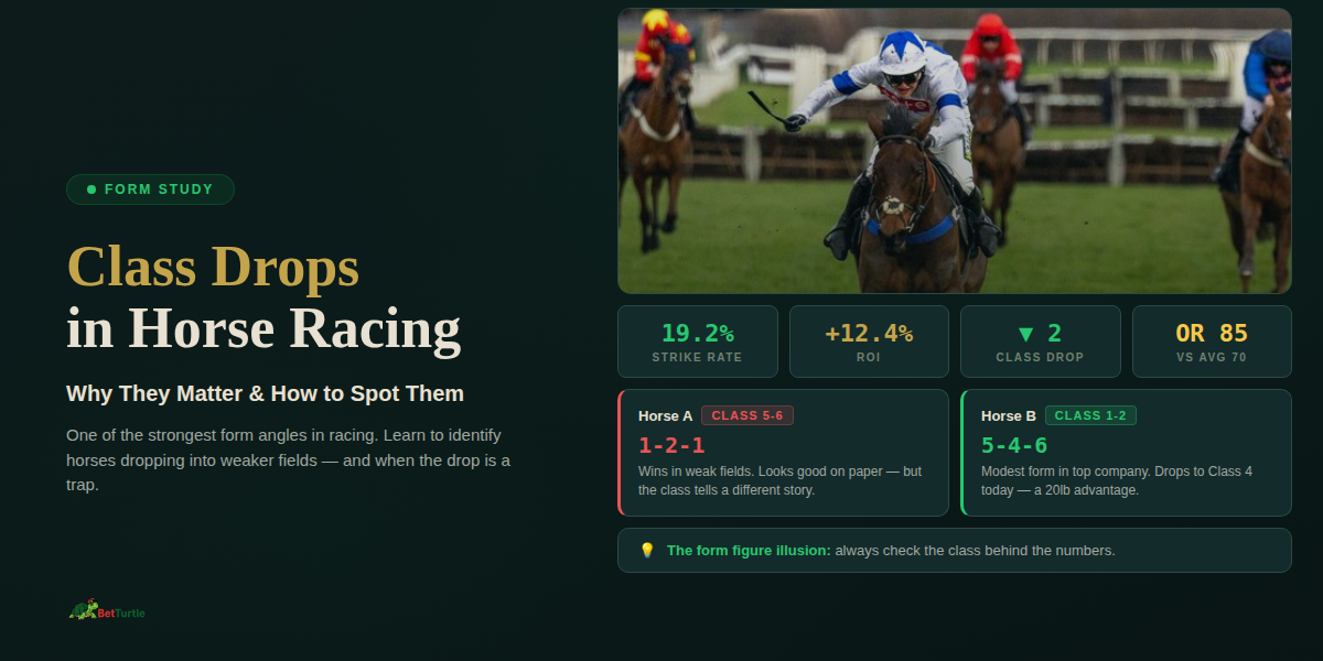 Class Drops In Horse Racing
