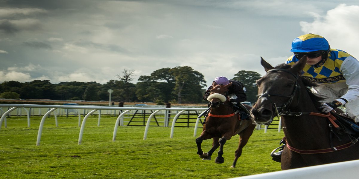 Horse Cruising Through Race