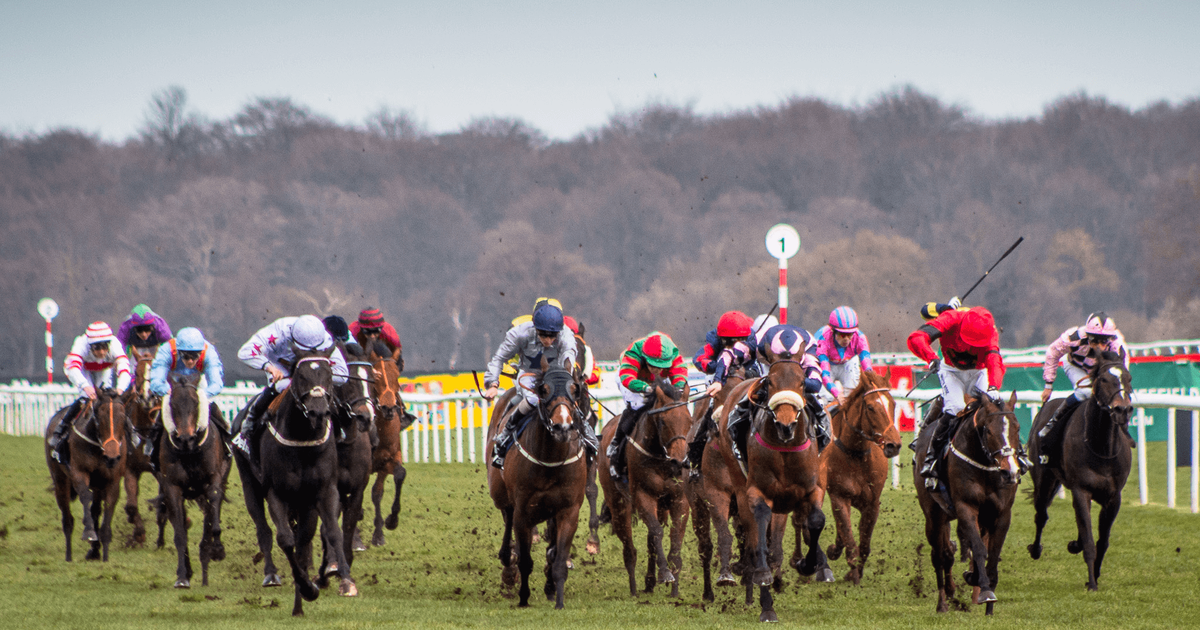 A Technique For Identifying Horses Capable of Winning Handicap Races ...