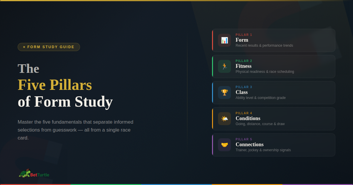 The Five Pillars of Form Study Explained | BetTurtle Blog