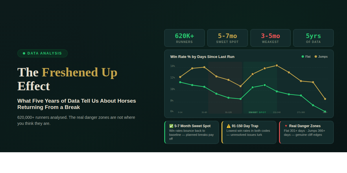 Freshened Up Horses