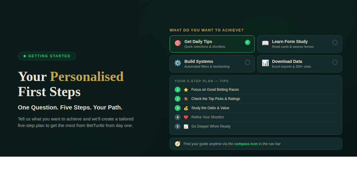 Getting Started With BetTurtle