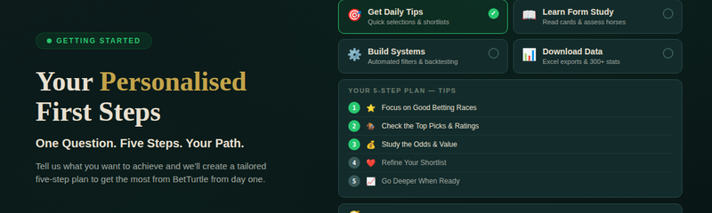 Getting Started With BetTurtle