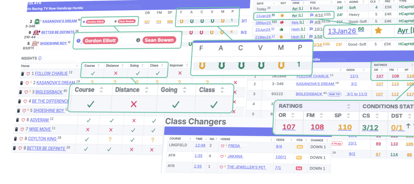 BetTurtle race card showing Horseshoe ratings, suitability checks, class changers and colour-coded statistics