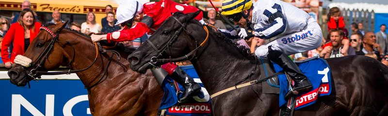 Racehorse Types