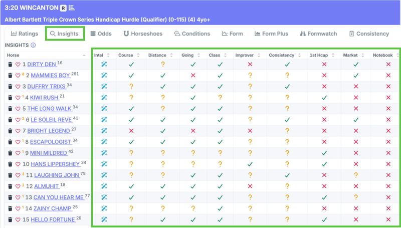Insights Table With Horses Preferences