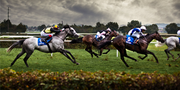 Moody Horse Race