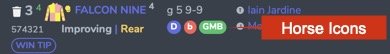 Horse Icons Settings