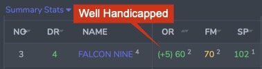 Well Handicapped Settings