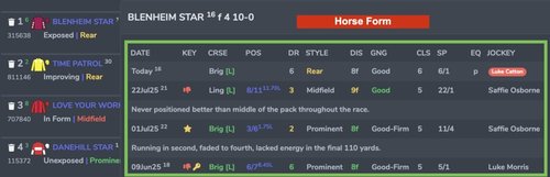 Horse Form Settings