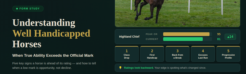 Understanding Well Handicapped Horses