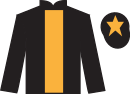 jockey silks