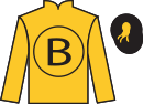 jockey silks