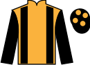 jockey silks
