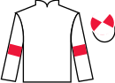 jockey silks