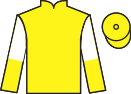 jockey silks