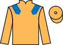 jockey silks