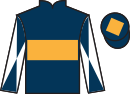 jockey silks