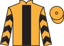 jockey silks