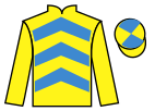 Jockey silks for Switch From Diesel (IRE)
