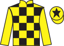 Jockey silks for Anzadam (FR)