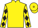 Jockey silks for Roi Du Roume (FR)