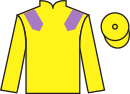 Jockey silks for Ballywood (FR)