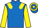 Jockey silks for Lou Des Bordes (FR)
