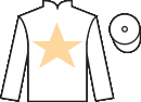 Jockey silks for Bite The Bullet