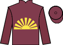 jockey silks