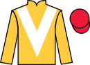 jockey silks