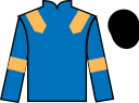 jockey silks