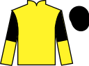 jockey silks