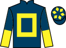 jockey silks