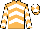 jockey silks