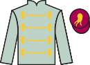 jockey silks