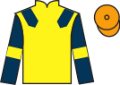 Jockey silks for Fury Lad (IRE)